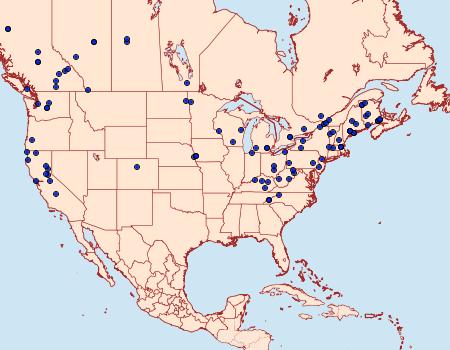 Distribution Data for Eupithecia absinthiata