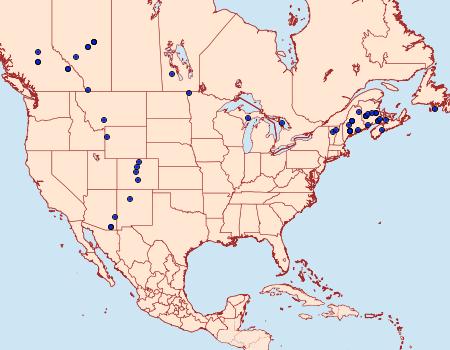 Distribution Data for Eupithecia anticaria