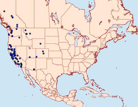 Distribution Data for Eupithecia nevadata