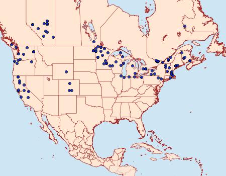 Distribution Data for Eupithecia ravocostaliata