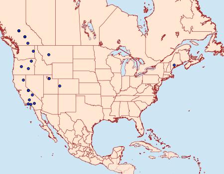 Distribution Data for Eupithecia leucata