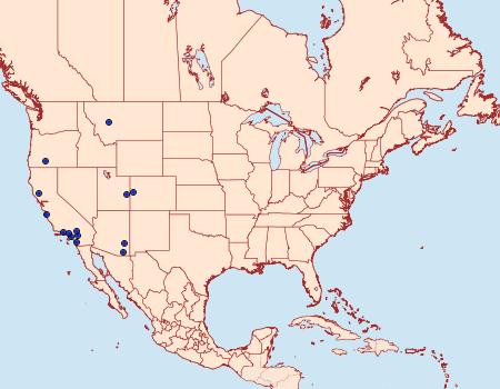 Distribution Data for Eupithecia mellisa