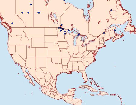 Distribution Data for Carsia sororiata