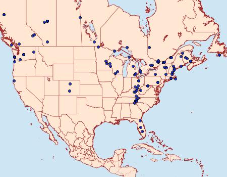 Distribution Data for Acasis viridata