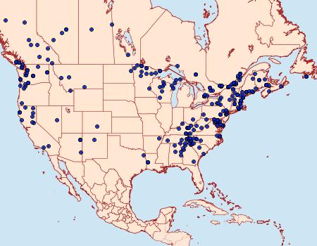 Distribution Data for Cladara limitaria