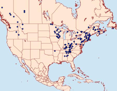 Distribution Data for Cladara atroliturata