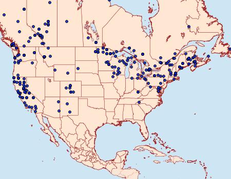 Distribution Data for Lobophora nivigerata