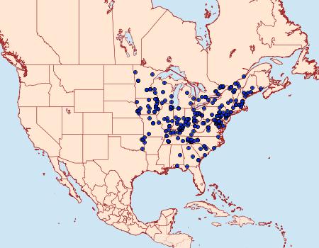 Distribution Data for Heterophleps triguttaria