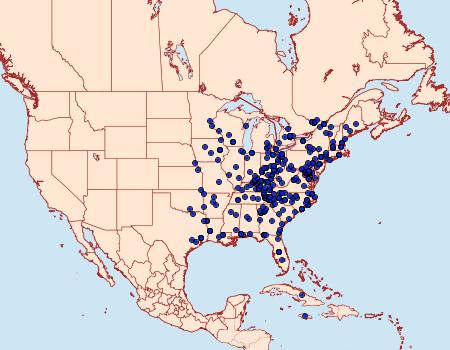 Distribution Data for Dyspteris abortivaria