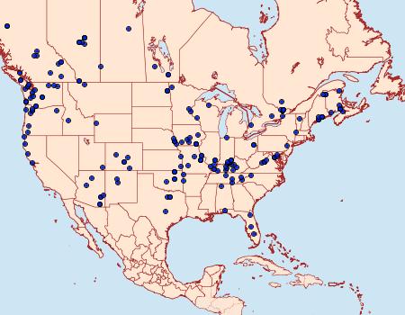 Distribution Data for Callizzia amorata