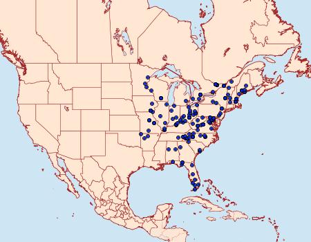 Distribution Data for Calledapteryx dryopterata