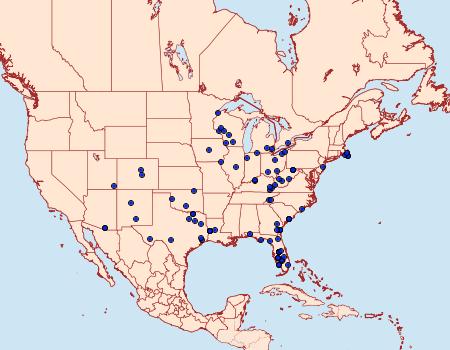 Distribution Data for Cicinnus melsheimeri