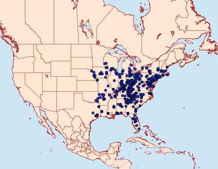 Distribution Data for Apatelodes torrefacta