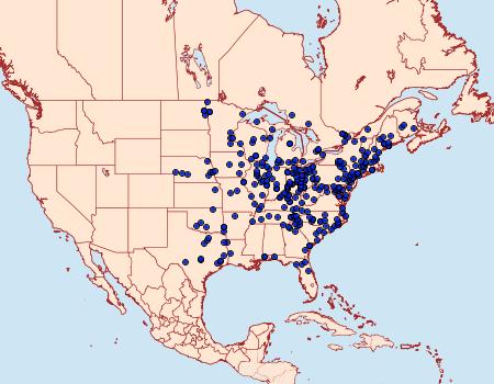 Distribution Data for Tolype velleda