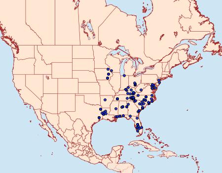 Distribution Data for Tolype notialis