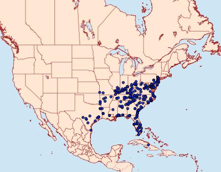 Distribution Data for Artace cribrarius