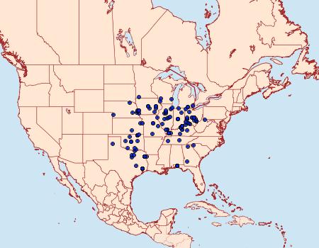 Distribution Data for Heteropacha rileyana