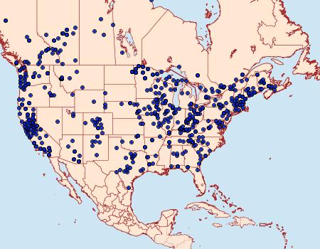 Distribution Data for Phyllodesma americana