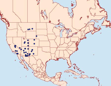 Distribution Data for Gloveria arizonensis