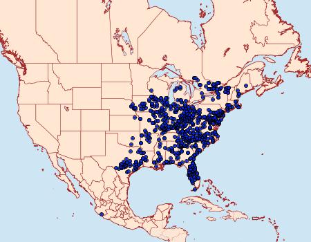 Distribution Data for Eacles imperialis