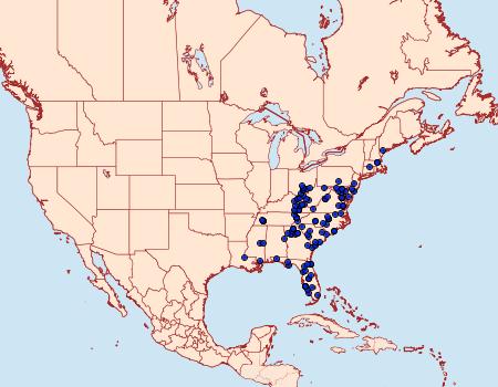 Distribution Data for Citheronia sepulcralis