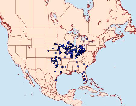 Distribution Data for Syssphinx bicolor