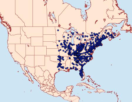 Distribution Data for Dryocampa rubicunda