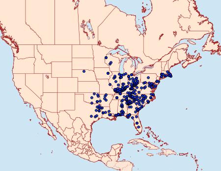 Distribution Data for Anisota stigma