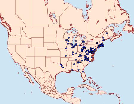 Distribution Data for Anisota senatoria