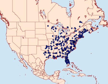 Distribution Data for Anisota virginiensis