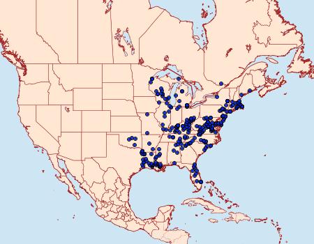 Distribution Data for Hemileuca maia