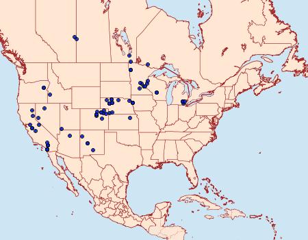 Distribution Data for Hemileuca nevadensis