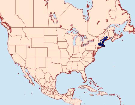 Distribution Data for Hemileuca lucina