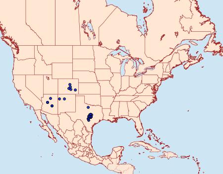 Distribution Data for Hemileuca grotei