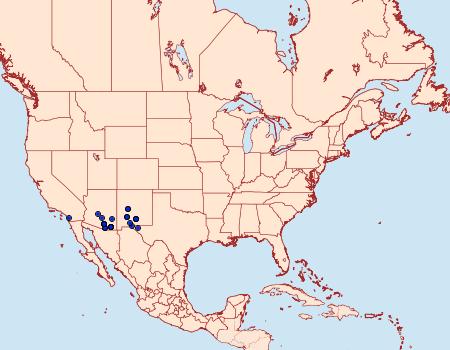 Distribution Data for Hemileuca juno