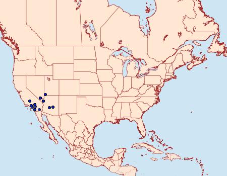 Distribution Data for Hemileuca electra