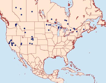 Distribution Data for Phyllonorycter nipigon