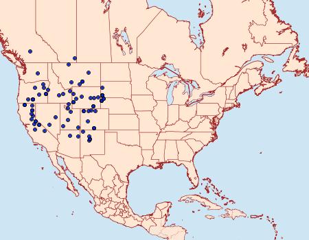 Distribution Data for Hemileuca hera