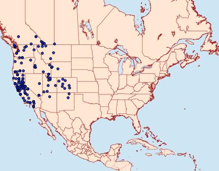 Distribution Data for Hemileuca eglanterina