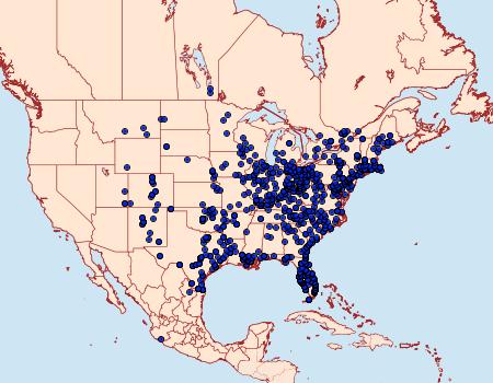 Distribution Data for Automeris io