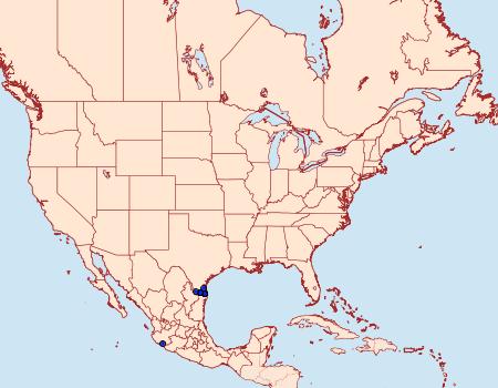 Distribution Data for Rothschildia forbesi