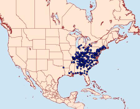 Distribution Data for Callosamia angulifera