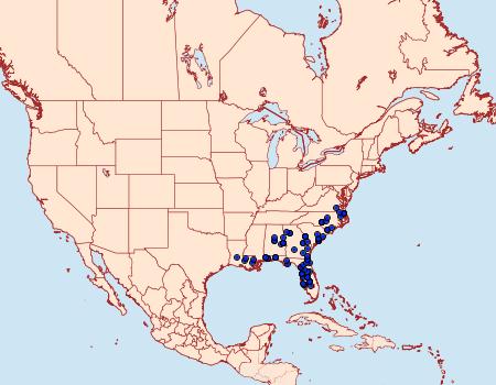 Distribution Data for Callosamia securifera