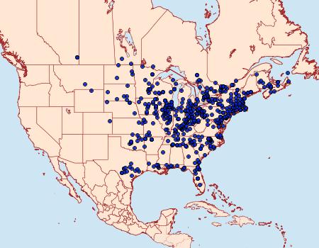 Distribution Data for Hyalophora cecropia