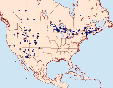 Distribution Data for Hyalophora columbia