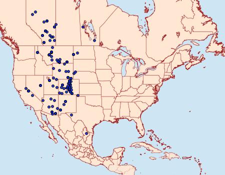 Distribution Data for Hyalophora gloveri