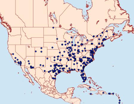 Distribution Data for Agrius cingulata