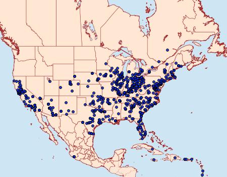 Distribution Data for Manduca sexta