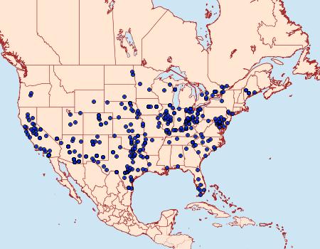 Distribution Data for Manduca quinquemaculatus