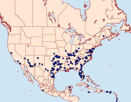 Distribution Data for Manduca rustica